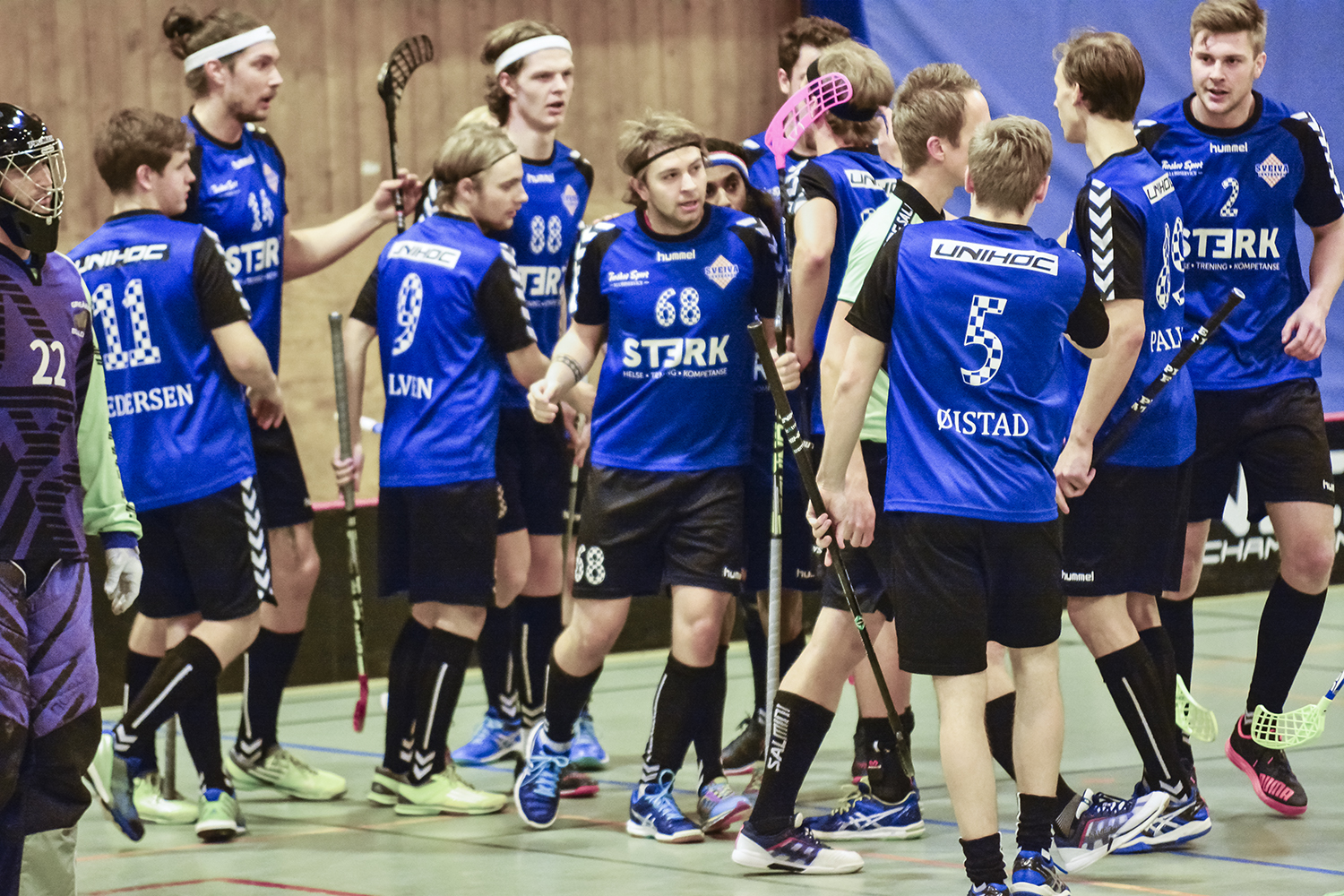Sveiva-herrene drar til Sverige i helgen og skal bryne seg på 1. divisjonsklubben Borås Thunder.
